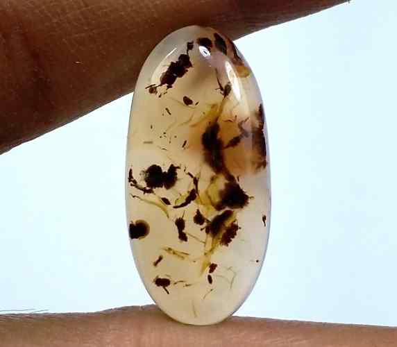 8.92 Carats Montana Agate 23.15 X 11.25 X 4.09 mm