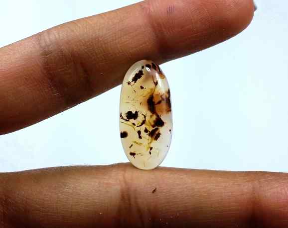 8.92 Carats Montana Agate 23.15 X 11.25 X 4.09 mm