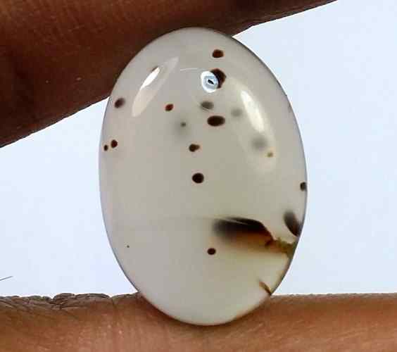 11.59 Carats Montana Agate 20.65 X 14.32 X 5.26 mm