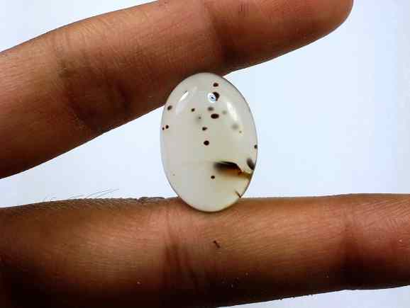 11.59 Carats Montana Agate 20.65 X 14.32 X 5.26 mm