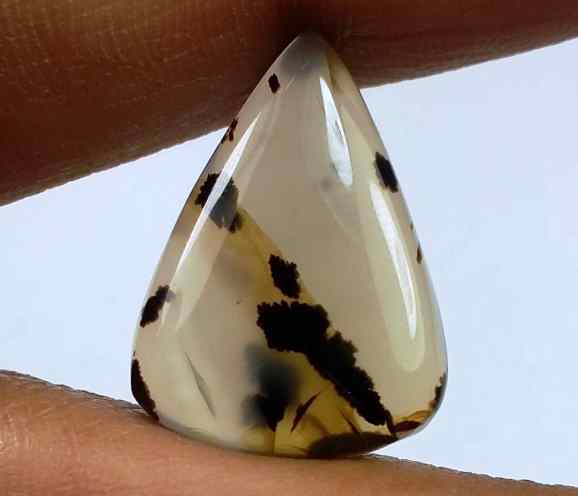10.28 Carats Montana Agate 20.44 X 15.01 X 4.51 mm