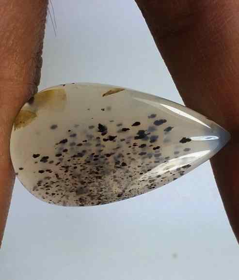 15.20 Carats Montana Agate 31.04 X 17.25 X 3.85 mm
