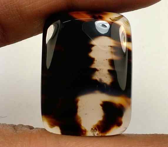 29.26 Carats Montana Agate 26.74 X 19.64 X 5.38 mm