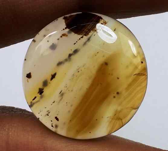 16.47 Carats Montana Agate 20.93 X 20.74 X 4.95 mm