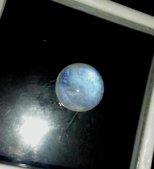 15.95 Carats Ceylon Moonstone 15.92 x 15.87 x 8.50 mm