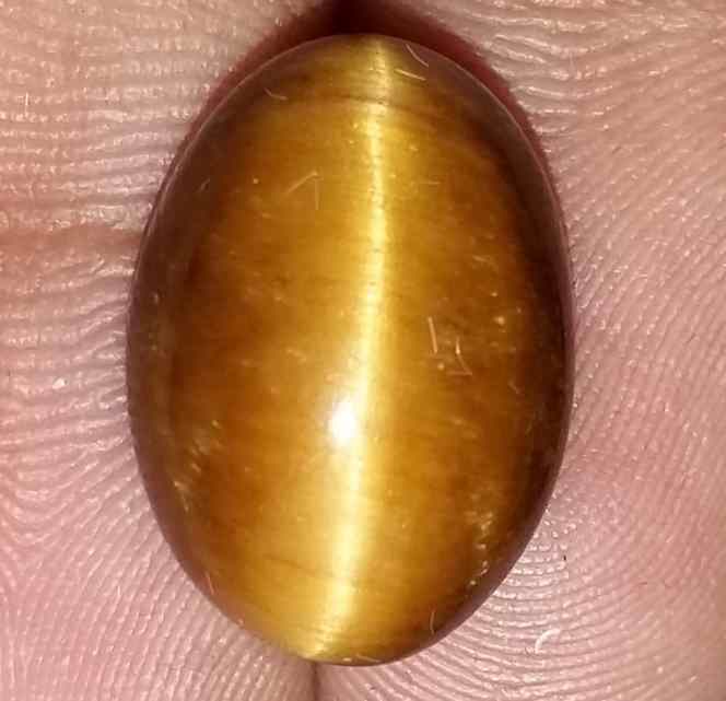 11.3 Carats Tiger Eye 16.40 x 11.13 x 8.15 mm