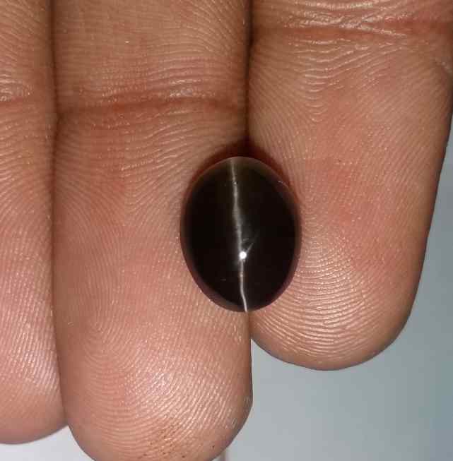 4.96 Carats Sillimanite Cat's Eye 10.85 x 8.53 x 6.02 mm