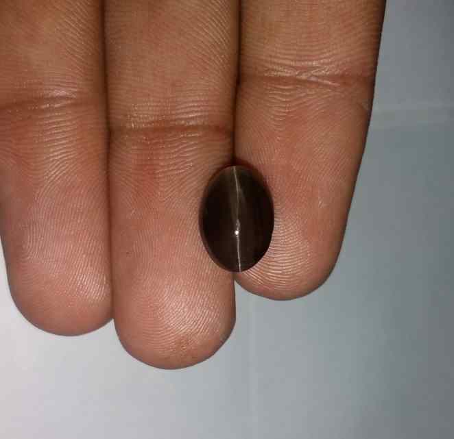 4.3 Carats Sillimanite Cat's Eye 11.60 x 8.15 x 5.30 mm
