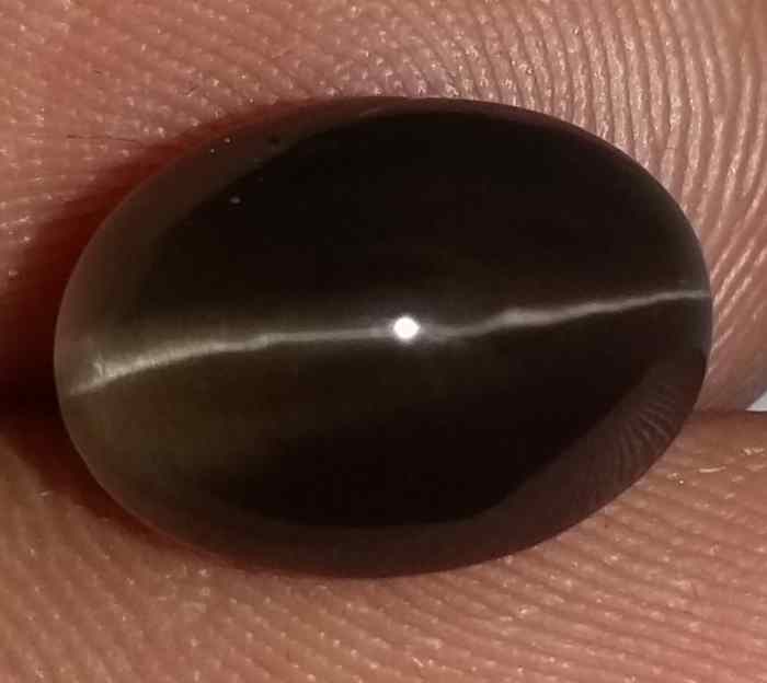 5.53 Carats Sillimanite Cat's Eye 10.93 x 8.04 x 7.31 mm