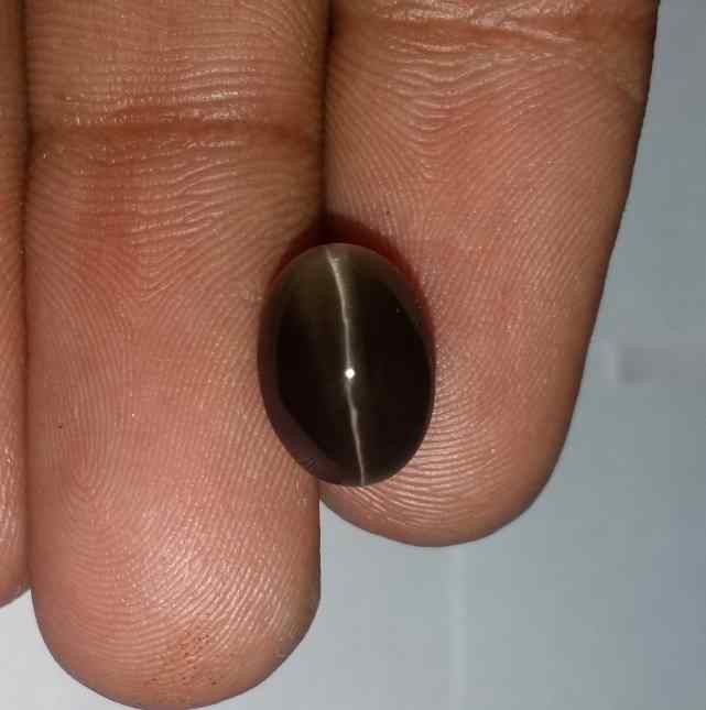 5.53 Carats Sillimanite Cat's Eye 10.93 x 8.04 x 7.31 mm