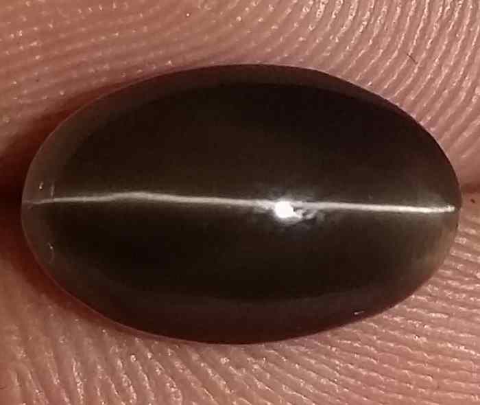 3.88 Carats Sillimanite Cat's Eye 10.50 x 6.75 x 6.06 mm