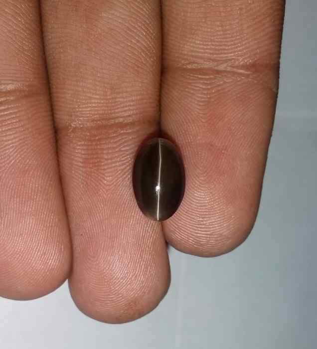 3.88 Carats Sillimanite Cat's Eye 10.50 x 6.75 x 6.06 mm