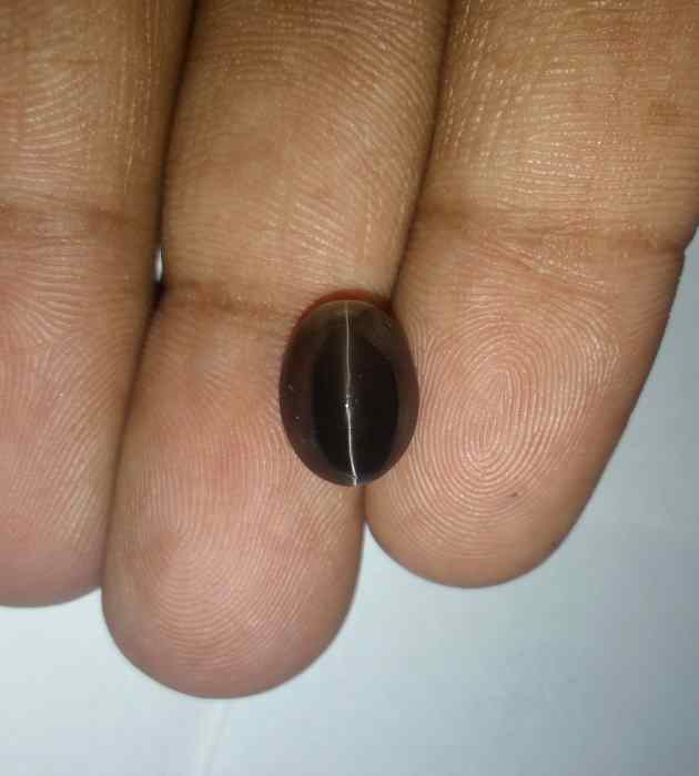 5.24 Carats Sillimanite Cat's Eye 11.18 x 8.35 x 6.85 mm