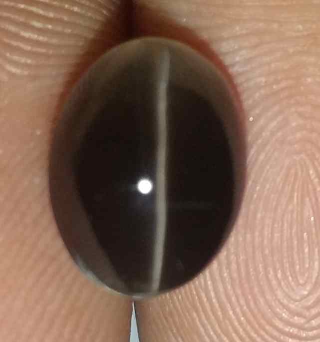 4 Carats Sillimanite Cat's Eye 9.90 x 7.40 x 6.37 mm