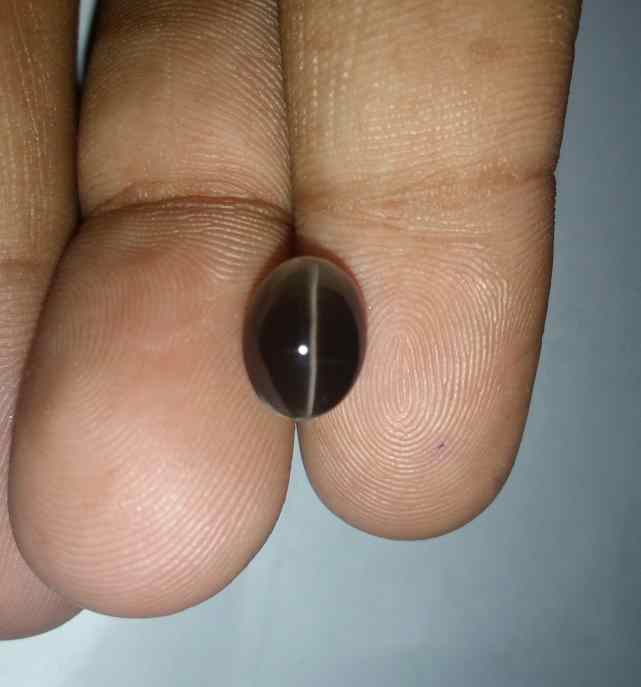 4 Carats Sillimanite Cat's Eye 9.90 x 7.40 x 6.37 mm