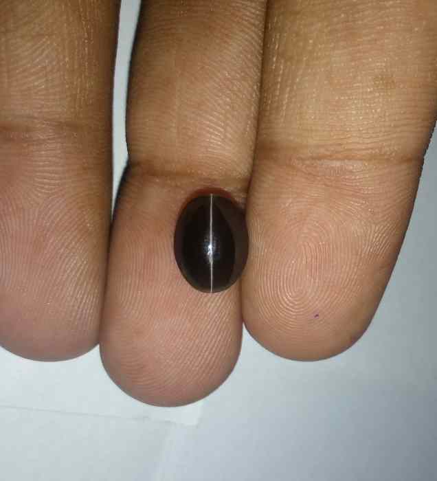 3.25 Carats Sillimanite Cat's Eye 10.20 x 7.61 x 4.90 mm