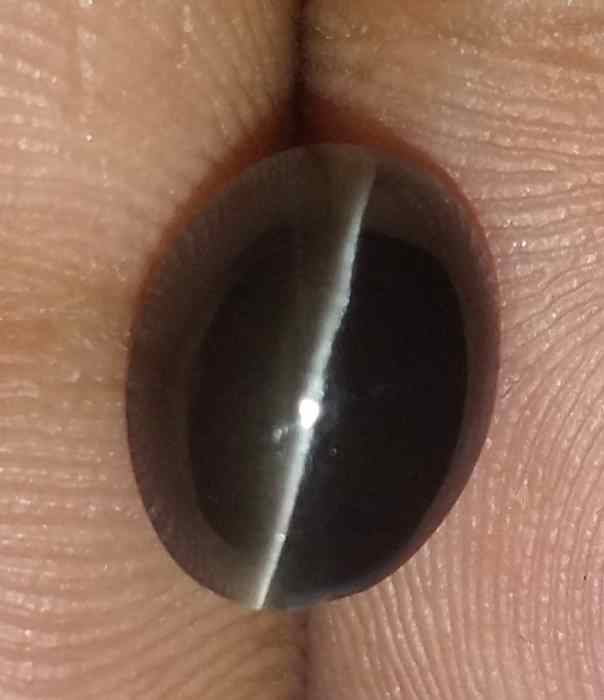 2.73 Carats Sillimanite Cat's Eye 8.90 x 6.80 x 5.11 mm