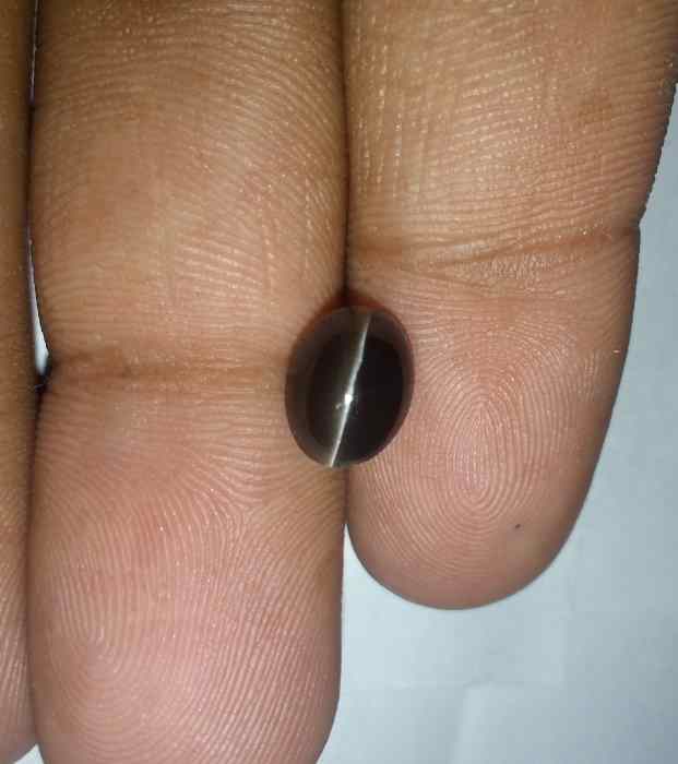 2.73 Carats Sillimanite Cat's Eye 8.90 x 6.80 x 5.11 mm