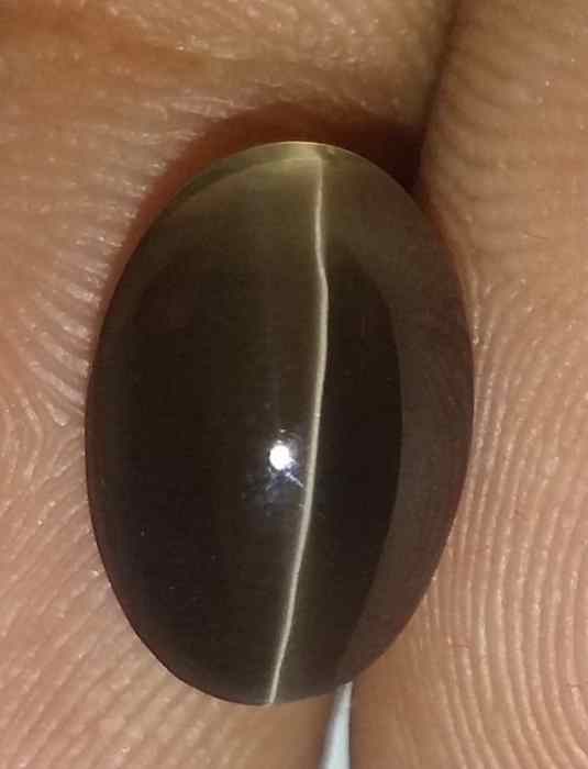3.52 Carats Sillimanite Cat's Eye 10.46 x 7.25 x 5.33 mm