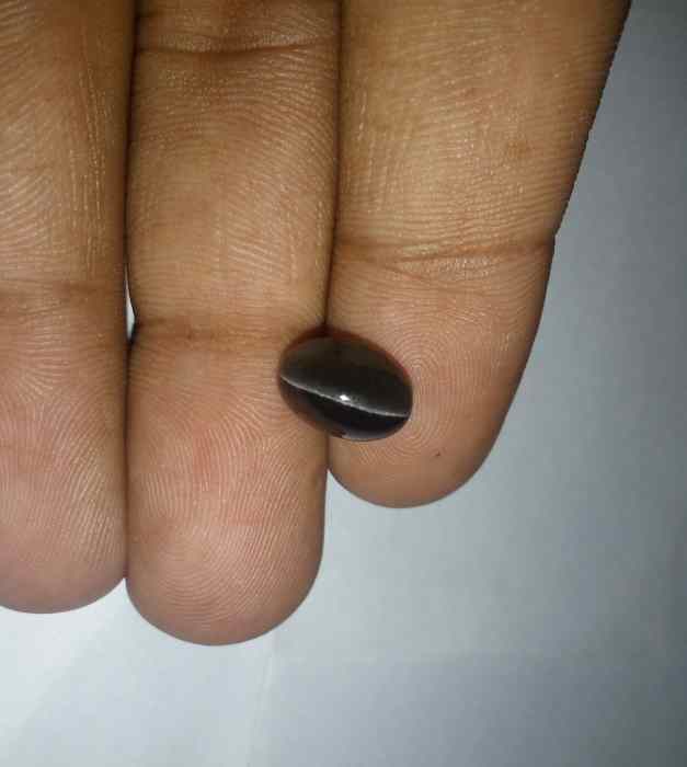 3.77 Carats Sillimanite Cat's Eye 10.55 x 7.60 x 5.50 mm
