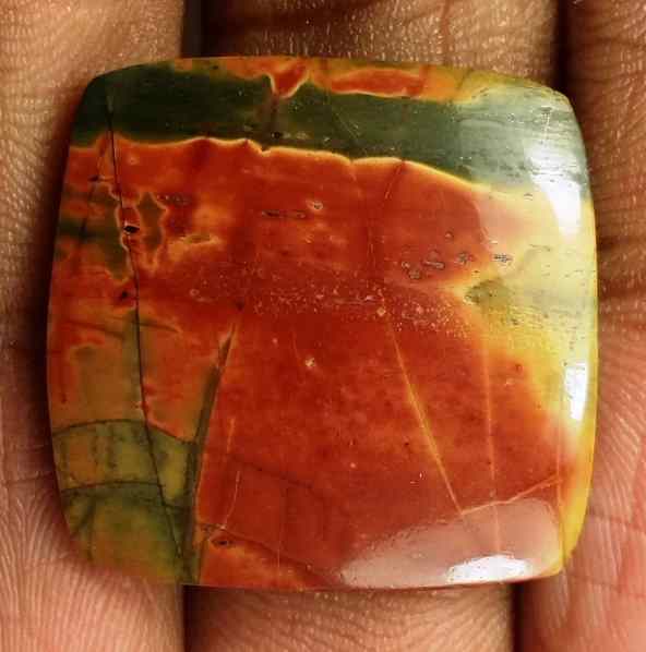 18.9 Carats Cherry Creek Jasper 21.67 x 22.31 x 3.86 mm