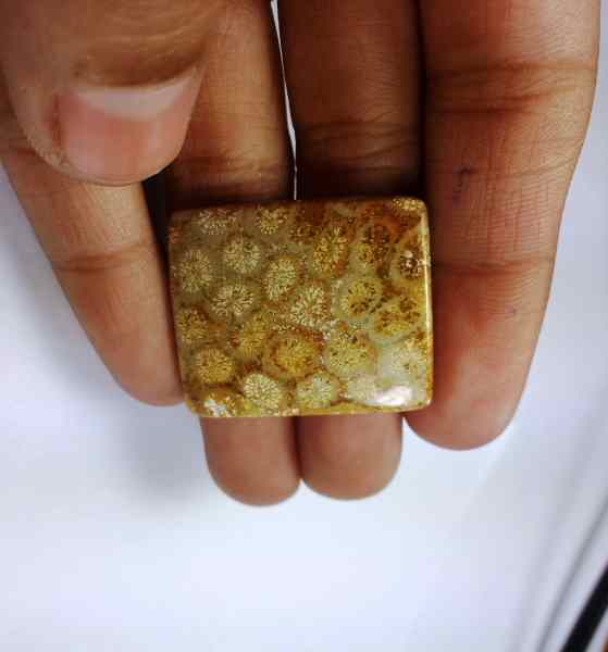 32.25 Carats Fossil Coral 29.45 x 24.58 x 4.75 mm