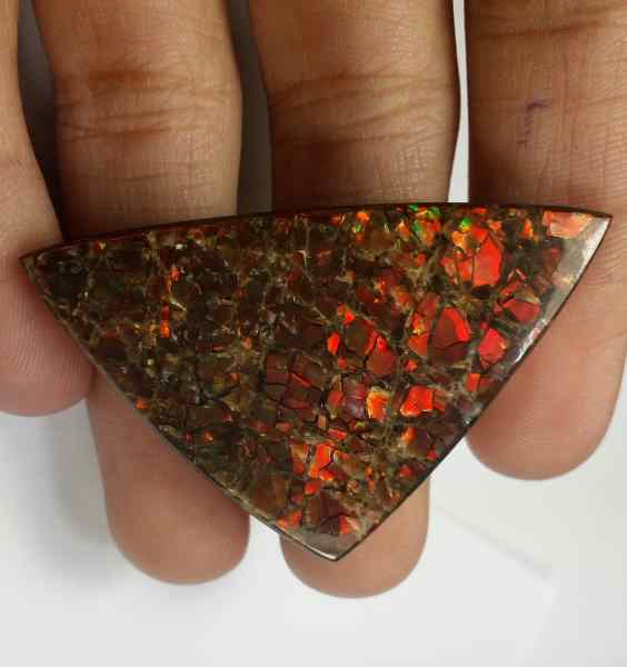 59.8 Carats Ammolite 46.37 x 28.61 x 5.06 mm