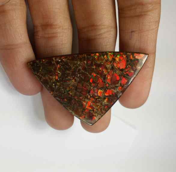 59.8 Carats Ammolite 46.37 x 28.61 x 5.06 mm