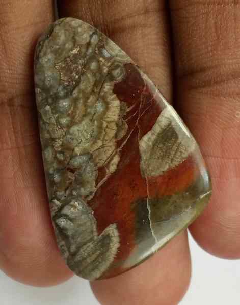 24.9 Carats Mushroom Rhyolite 32.19 x 21.68 x 4.21 mm