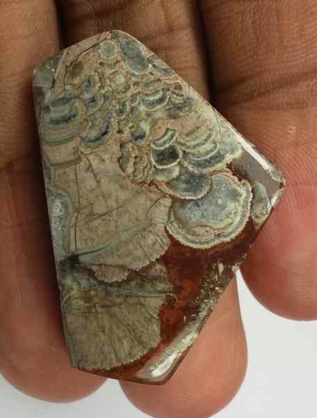 40.05 Carats Mushroom Rhyolite 36.89 x 24.44 x 5.73 mm