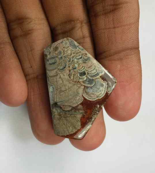 40.05 Carats Mushroom Rhyolite 36.89 x 24.44 x 5.73 mm