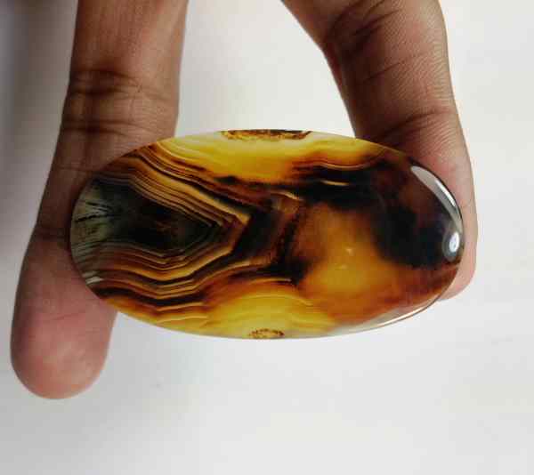 66.2 Carats Montana Agate 57.38 x 30.81 x 4.30 mm