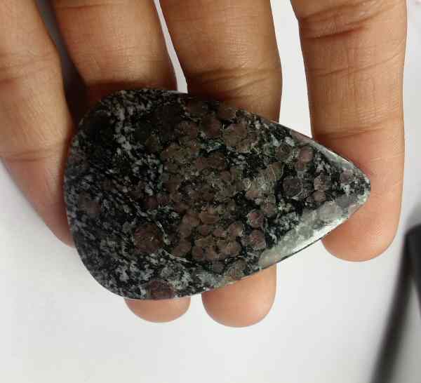 82.55 Carats Ruby Foll 50.46 x 35.62 x 5.37 mm
