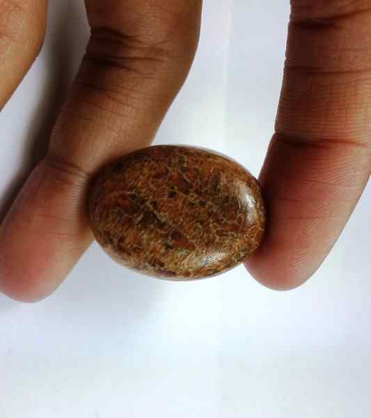 29.95 Carats Dinosaur Bone 27.12 x 20.54 x 6.82 mm
