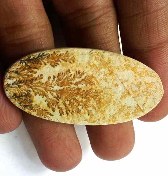 23.2 Carats Psilomelane Dendritic 44.45 x 21.04 x 2.84 mm