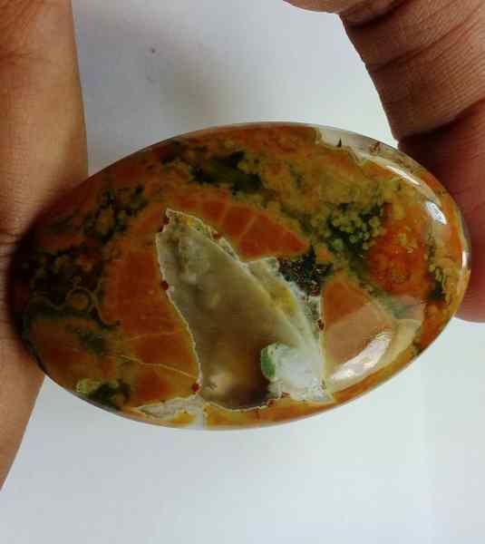 67.9 Carats Australian Rainforest Jasper 49.17 x 33.12 x 5.84 mm