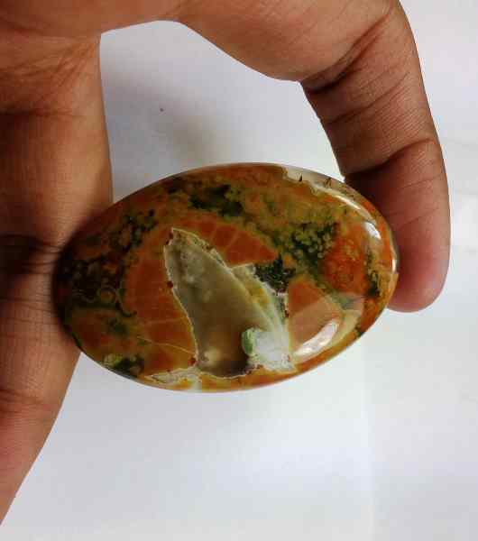 67.9 Carats Australian Rainforest Jasper 49.17 x 33.12 x 5.84 mm