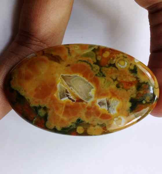 66.4 Carats Australian Rainforest Jasper 51.99 x 31.23 x 5.15 mm