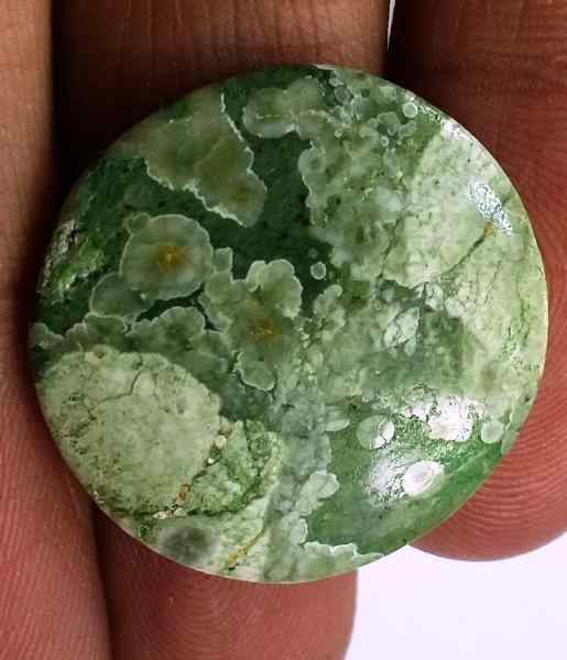 11.3 Carats Australian Rainforest Jasper 22.37 x 21.69 x 3.12 mm