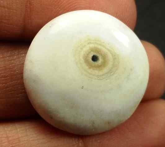 21.97 Carats Solar Eye 22.56 x 5.94 mm