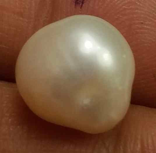 6.67 Carat Venezuela Pearl 10.28 x 10.17 x 8.67 mm