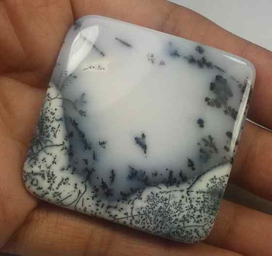 117.91 Carats Dendritic Agate 43.39 x 43.37 x 5.85 mm