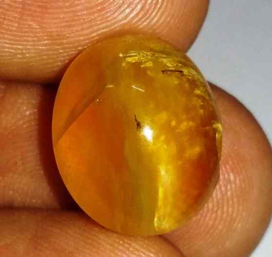 10.23 Carats Tourmaline Cat's Eye 15.38 x 12.45 x 9.77 mm
