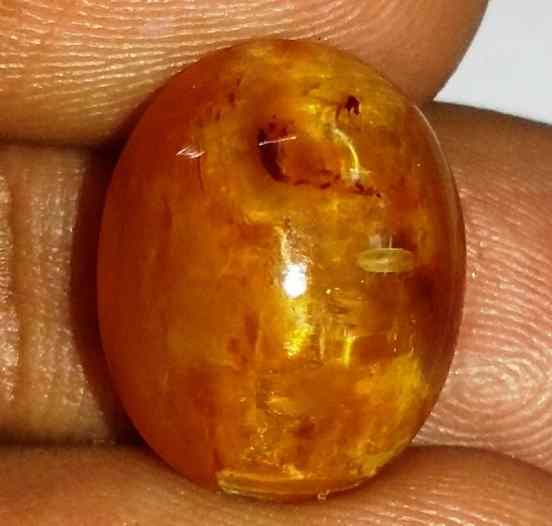 9.89 Carats Tourmaline Cat's Eye 15.74 x 12.46 x 8.95 mm