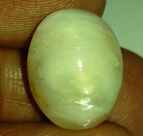 11.87 Carats Tourmaline Cat's Eye 16.90 x 13.60 x 9.12 mm