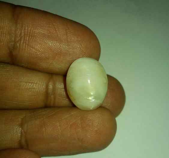 11.87 Carats Tourmaline Cat's Eye 16.90 x 13.60 x 9.12 mm
