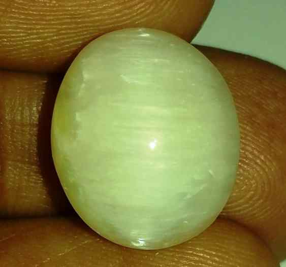 11.18 Carats Tourmaline Cat's Eye 15.34 x 13.27 x 8.56 mm