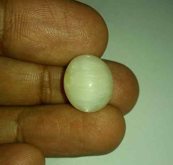 11.18 Carats Tourmaline Cat's Eye 15.34 x 13.27 x 8.56 mm