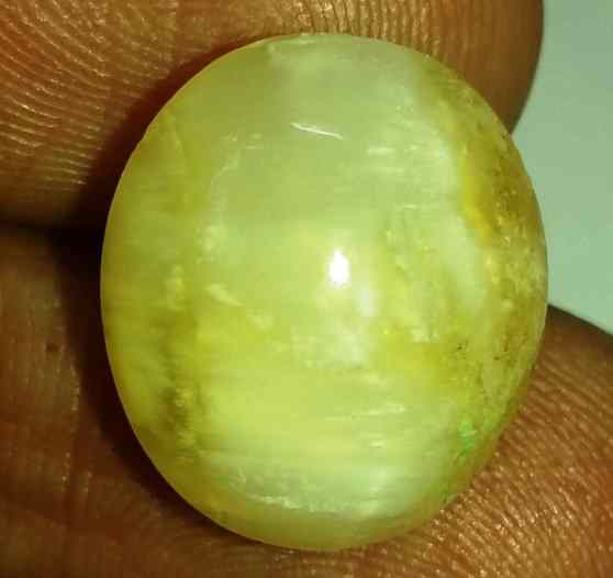 11.33 Carats Tourmaline Cat's Eye 16.11 x 13.97 x 9.77 mm
