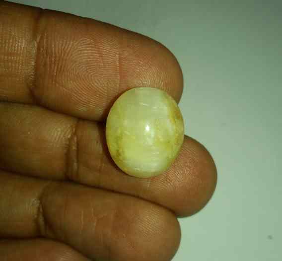 11.33 Carats Tourmaline Cat's Eye 16.11 x 13.97 x 9.77 mm